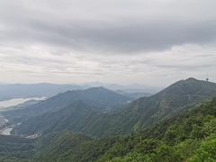 -梧桐山风景名胜区