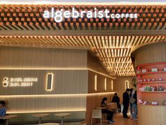 -代数学家algebraist(苏州中心店)
