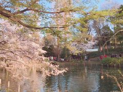 -井之头恩赐公园