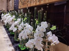 -北京四季酒店