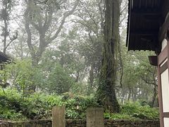 -西湖风景区十里琅珰-五云山