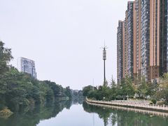 -温江公园