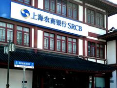 -上海农商银行(南翔支行)
