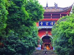 -铁山坪森林公园