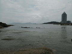 android_upload_pic-八大关景区