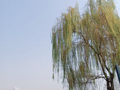 -南宁南湖公园