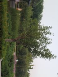 -大望京儿童游乐场