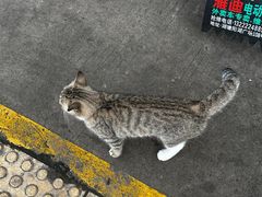 -万达影城(武进万达广场IMAX店)