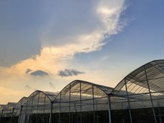 -马陆小张葡萄园农家乐