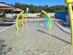 -爪吧宠物乐园 (温榆河示范区店)