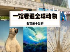 -陕西自然博物馆