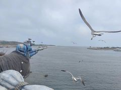 -银沙滩浴场
