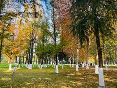 -重庆中央公园(渝北区)