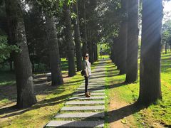 -晋祠公园