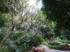 景点-广州珠江公园