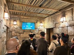 -翱翔飞越地平线