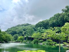 -云溪植物园