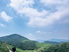 -大姆山草场