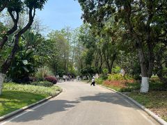 -柳州市动物园