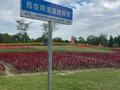 -同里国家湿地公园