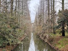 -东平国家森林公园