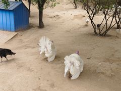 -森林公园(尖草坪区)