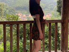 -杨家堂村