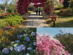 -东莞植物园