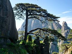 -黄山风景区
