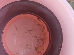 -长广溪湿地公园