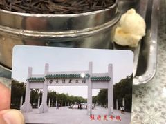 -武汉大学-樱园
