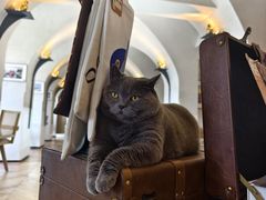 -Me Coffee下午茶艺术空间