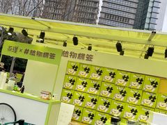 -陆家嘴中心绿地