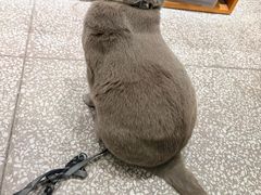 -大理床单厂艺术区