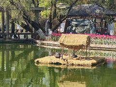 -翠湖公园