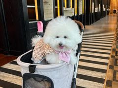 -北京康莱德酒店