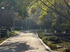-太子山公园(园东路)
