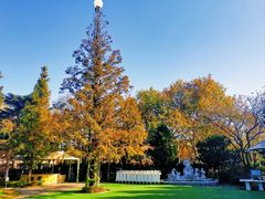 -青岛遇见米兰(八大关店)