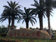 -宝安西湾红树林湿地公园