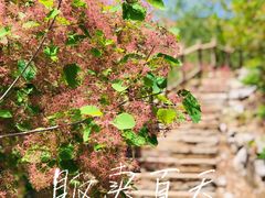 -周口店坡峰岭风景区