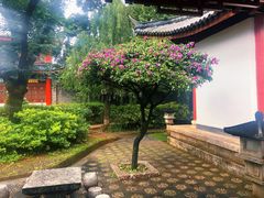 -木府