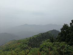 -湖南四明山国家森林公园