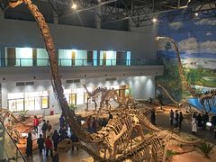 -自贡恐龙博物馆