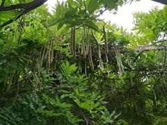 -大连人民广场