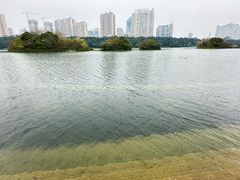 -南宁南湖公园
