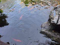 -顺德渔村·岭南一号