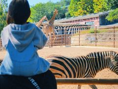 -大连森林动物园