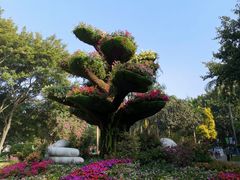 -广州雕塑公园