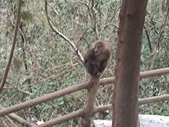 -九峰山