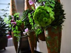 -合肥滨湖国家森林公园